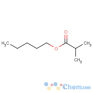 CAS No:2445-72-9 pentyl 2-methylpropanoate