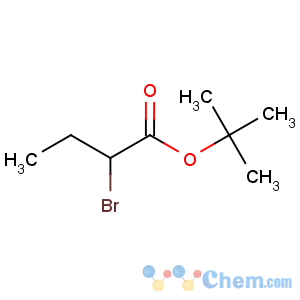 CAS No:24457-21-4 tert-butyl 2-bromobutanoate