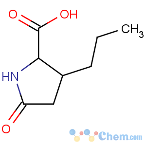 CAS No:2446-07-3 Proline,5-oxo-3-propyl-, DL- (8CI)