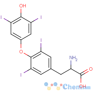 CAS No:24486-40-6 (2S)-2-amino-3-[4-(4-hydroxy-3,5-diiodophenoxy)-3,<br />5-diiodophenyl]propanoic acid