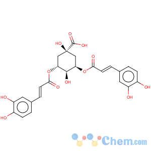 CAS No:2450-53-5 Isochlorogenic acid A