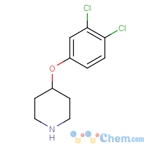 CAS No:245057-73-2 4-(3,4-dichlorophenoxy)piperidine