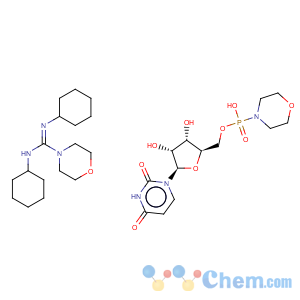 CAS No:24558-91-6 URIDINE 5’-MONOPHOSPHOMORPHOLIDATE 4-MORPHOLINE-N,N’-DICYCLOHEXYLCARBOXAMIDINE SALT