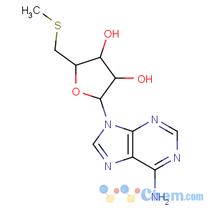 CAS No:2457-80-9 (2R,3R,4S,5S)-2-(6-aminopurin-9-yl)-5-(methylsulfanylmethyl)oxolane-3,<br />4-diol