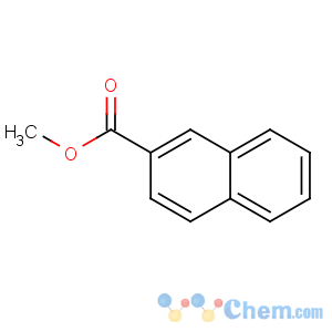 CAS No:2459-25-8 methyl naphthalene-2-carboxylate