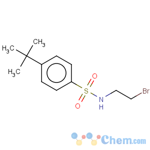 CAS No:246236-63-5 Benzenesulfonamide,N-(2-bromoethyl)-4-(1,1-dimethylethyl)-