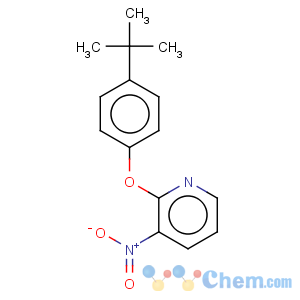 CAS No:246236-65-7 Pyridine,2-[4-(1,1-dimethylethyl)phenoxy]-3-nitro-