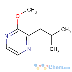 CAS No:24683-00-9 2-methoxy-3-(2-methylpropyl)pyrazine