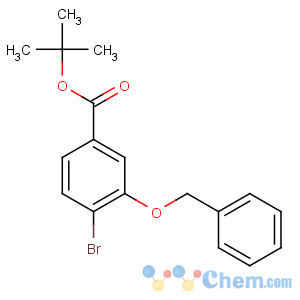 CAS No:247186-50-1 tert-butyl 4-bromo-3-phenylmethoxybenzoate