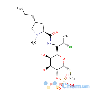 CAS No:24729-96-2 Clindamycin phosphate