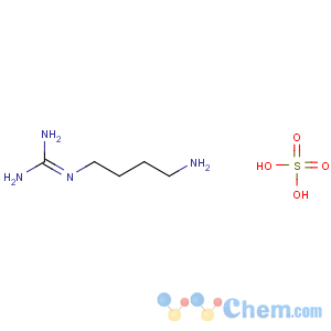 CAS No:2482-00-0 2-(4-aminobutyl)guanidine