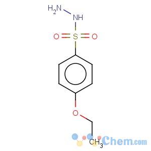 CAS No:24924-80-9 Benzenesulfonic acid, 4-ethoxy-, hydrazide