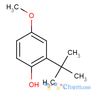 CAS No:25013-16-5 2-tert-butyl-4-methoxyphenol