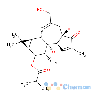 CAS No:25090-74-8 Propanoic acid,2-methyl-,(1aR,1bS,4aR,7aS,7bR,8R,9aS)-1,1a,1b,4,4a,5,7a,7b,8,9-decahydro-4a,7b-dihydroxy-3-(hydroxymethyl)-1,1,6,8-tetramethyl-5-oxo-9aH-cyclopropa[3,4]benz[1,2-e]azulen-9a-ylester