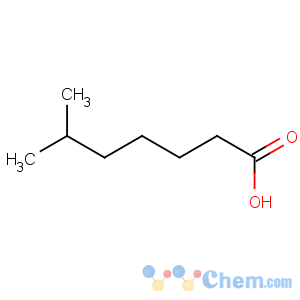 CAS No:25103-52-0 6-methylheptanoic acid