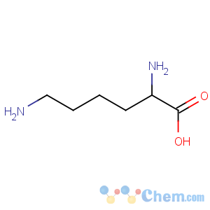 CAS No:25104-18-1 (2S)-2,6-diaminohexanoic acid