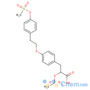 CAS No:251565-85-2 (2S)-2-ethoxy-3-[4-[2-(4-methylsulfonyloxyphenyl)ethoxy]phenyl]propanoic<br />acid