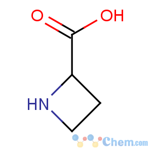 CAS No:2517-04-6 azetidine-2-carboxylic acid