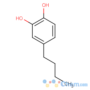 CAS No:2525-05-5 4-butylbenzene-1,2-diol