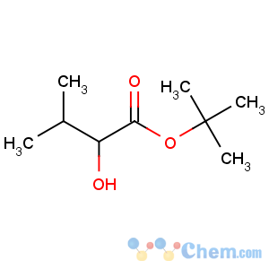 CAS No:2528-17-8 tert-butyl 2-hydroxy-3-methylbutanoate