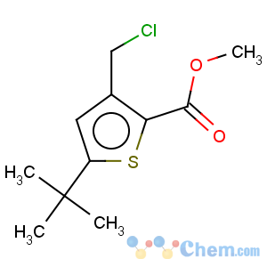 CAS No:252914-61-7 2-Thiophenecarboxylicacid, 3-(chloromethyl)-5-(1,1-dimethylethyl)-, methyl ester