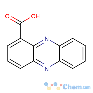CAS No:2538-68-3 phenazine-1-carboxylic acid