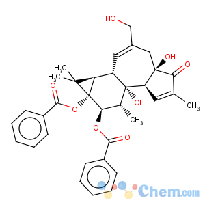CAS No:25405-85-0 5H-Cyclopropa[3,4]benz[1,2-e]azulen-5-one,9,9a-bis(benzoyloxy)-1,1a,1b,4,4a,7a,7b,8,9,9a-decahydro-4a,7b-dihydroxy-3-(hydroxymethyl)-1,1,6,8-tetramethyl-,(1aR,1bS,4aR,7aS,7bS,8R,9R,9aS)-