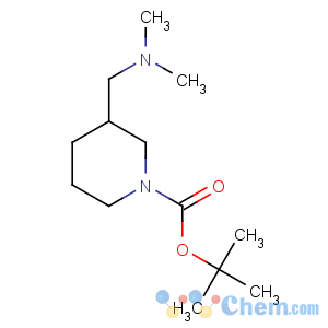 CAS No:254905-64-1 tert-butyl 3-[(dimethylamino)methyl]piperidine-1-carboxylate