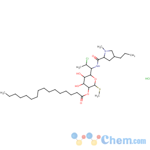 CAS No:25507-04-4 Clindamycin palmitate hydrochloride