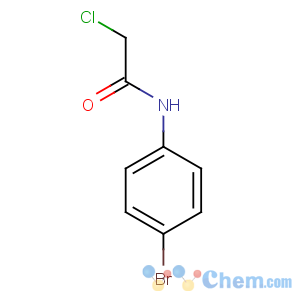 CAS No:2564-02-5 N-(4-bromophenyl)-2-chloroacetamide