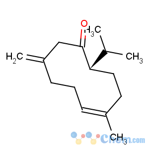 CAS No:25645-19-6 5-Cyclodecen-1-one,5-methyl-9-methylene-2-(1-methylethyl)-, (2S,5E)-