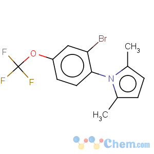 CAS No:257285-02-2 1H-Pyrrole,1-[2-bromo-4-(trifluoromethoxy)phenyl]-2,5-dimethyl-