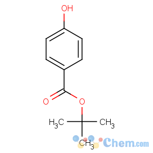 CAS No:25804-49-3 tert-butyl 4-hydroxybenzoate