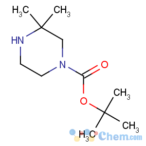 CAS No:259808-67-8 tert-butyl 3,3-dimethylpiperazine-1-carboxylate