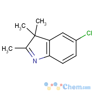 CAS No:25981-83-3 5-chloro-2,3,3-trimethylindole