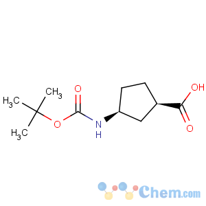 CAS No:261165-05-3 (1R,3S)-N-Boc-1-Aminocyclopentane-3-carboxylic acid