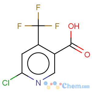 CAS No:261635-77-2 3-Pyridinecarboxylicacid, 6-chloro-4-(trifluoromethyl)-