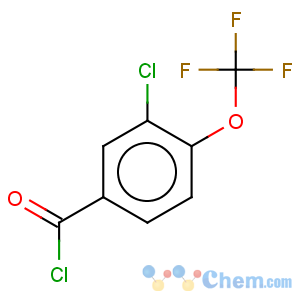 CAS No:261763-17-1 Benzoyl chloride,3-chloro-4-(trifluoromethoxy)-