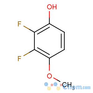 CAS No:261763-29-5 2,3-difluoro-4-methoxyphenol
