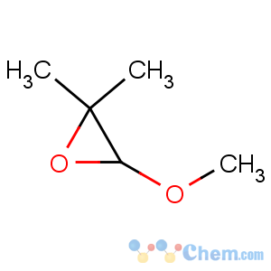 CAS No:26196-04-3 3-methoxy-2,2-dimethyloxirane