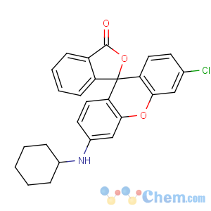 CAS No:26206-78-0 3'-chloro-6'-(cyclohexylamino)spiro[2-benzofuran-3,9'-xanthene]-1-one