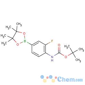 CAS No:262444-42-8 tert-butyl<br />N-[2-fluoro-4-(4,4,5,5-tetramethyl-1,3,<br />2-dioxaborolan-2-yl)phenyl]carbamate