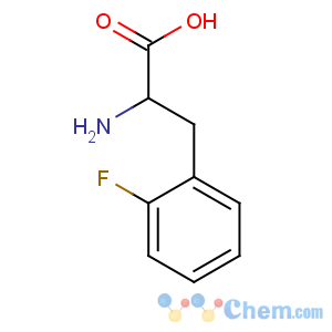 CAS No:2629-55-2 2-amino-3-(2-fluorophenyl)propanoic acid