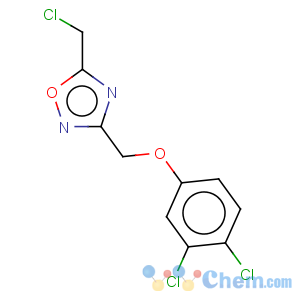CAS No:263386-10-3 1,2,4-Oxadiazole,5-(chloromethyl)-3-[(3,4-dichlorophenoxy)methyl]-