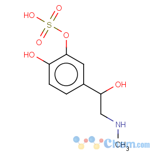 CAS No:26405-77-6 Benzenemethanesulfonicacid, 3,4-dihydroxy-a-[(methylamino)methyl]-