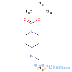 CAS No:264905-39-7 tert-butyl 4-(ethylamino)piperidine-1-carboxylate