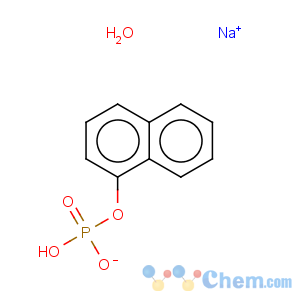 CAS No:2650-44-4 1-Naphthalenol,1-(dihydrogen phosphate), sodium salt (1:1)