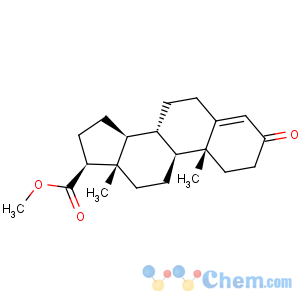 CAS No:2681-55-2 Methyl 3-oxo-4-androstene-17beta-carboxylate