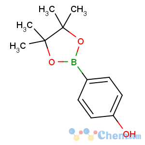 CAS No:269409-70-3 4-(4,4,5,5-tetramethyl-1,3,2-dioxaborolan-2-yl)phenol