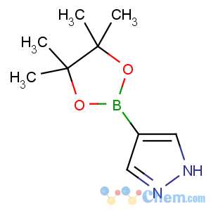 CAS No:269410-08-4 4-(4,4,5,5-tetramethyl-1,3,2-dioxaborolan-2-yl)-1H-pyrazole